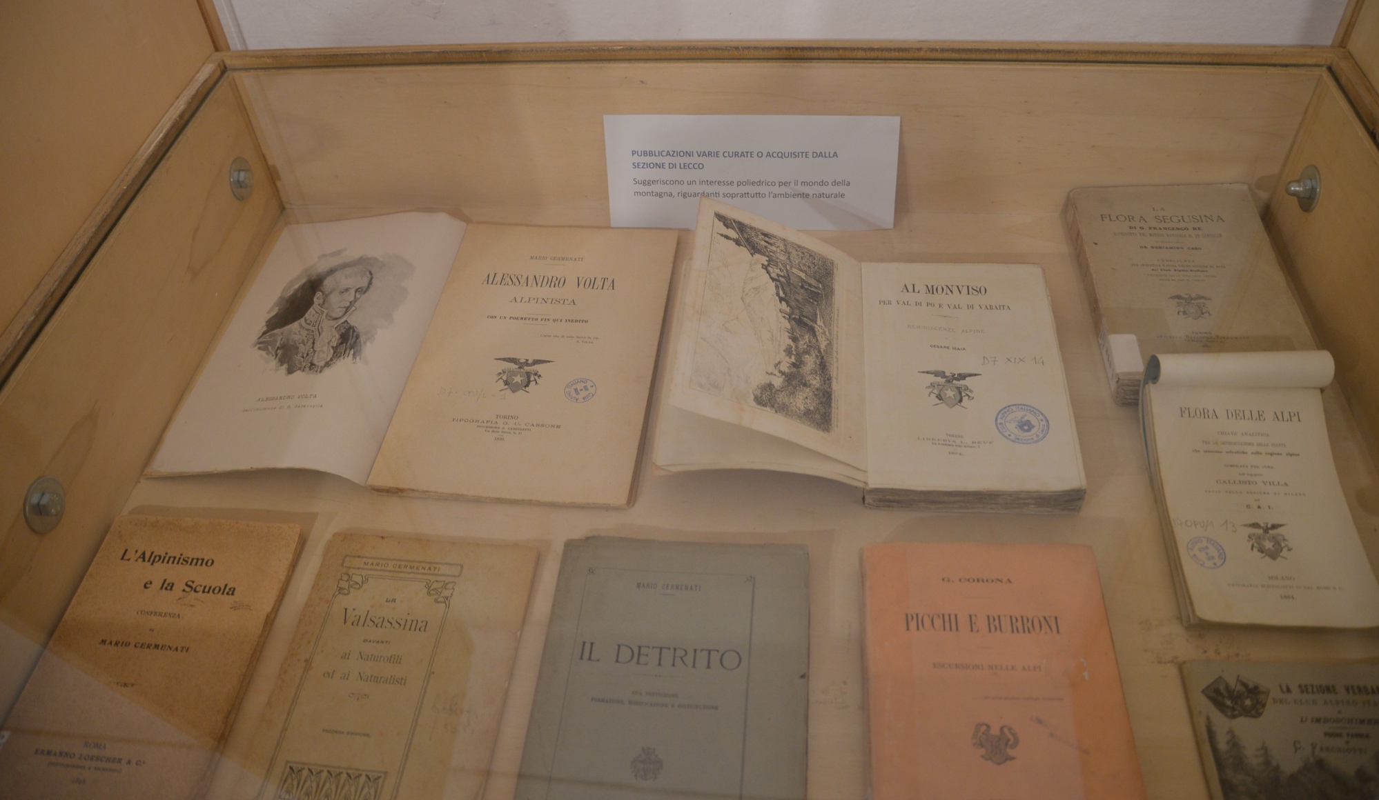 mostracai__10_.JPG (768 KB)