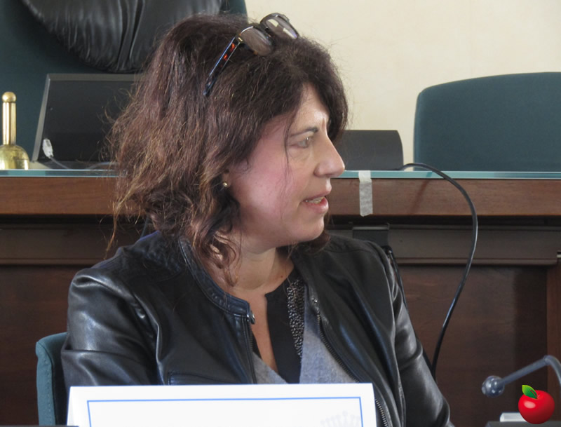 mostravotodonne__2_.jpg (86 KB)