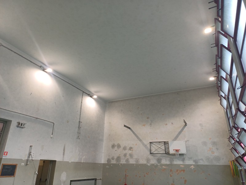 palestra_grassi__1_.jpg (70 KB)