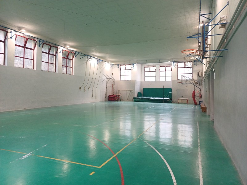 palestra_grassi__5_.jpg (93 KB)