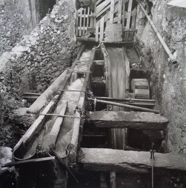 panigada__1_.jpg (156 KB)