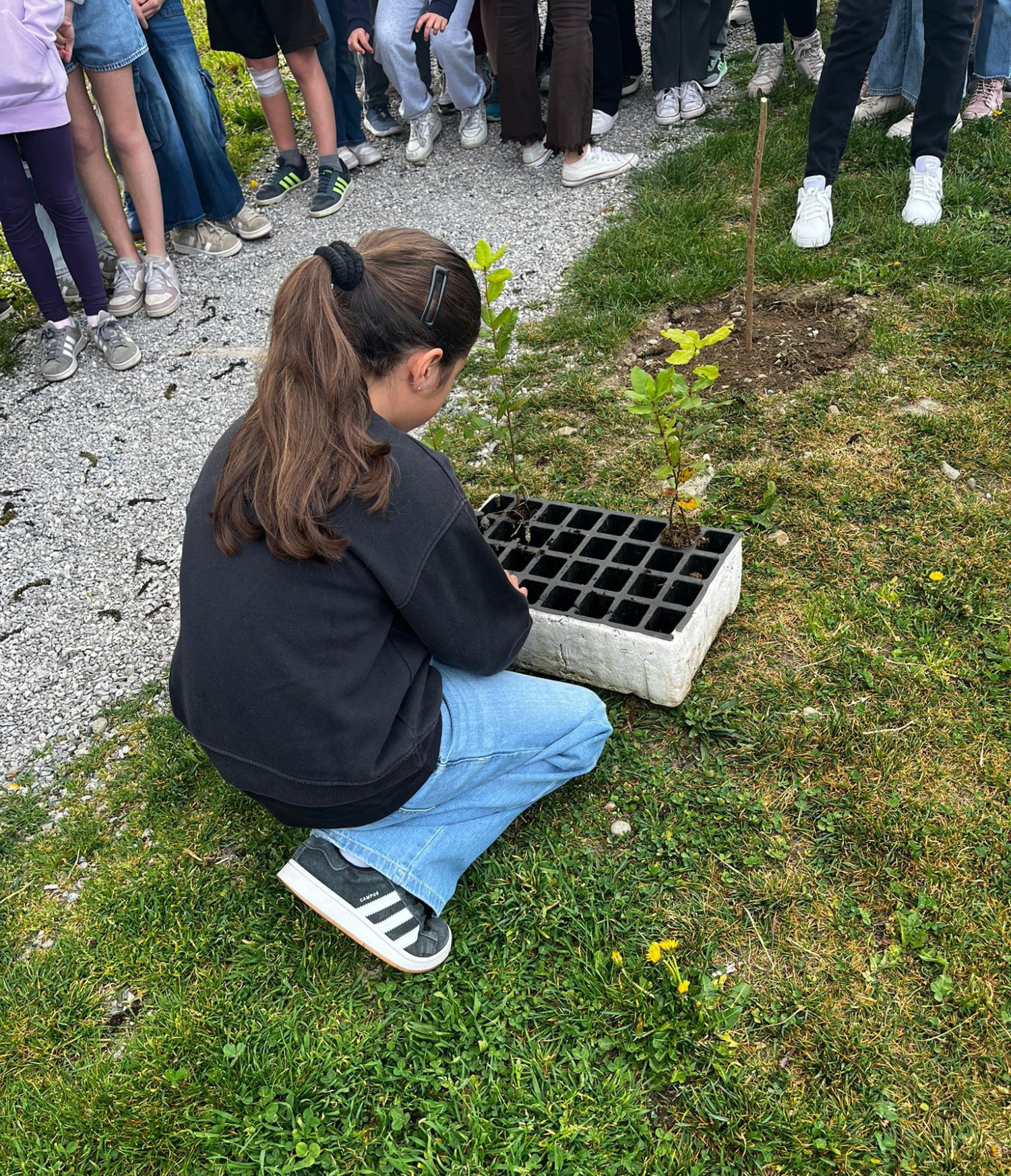 piantescuole2.jpg (1.75 MB)