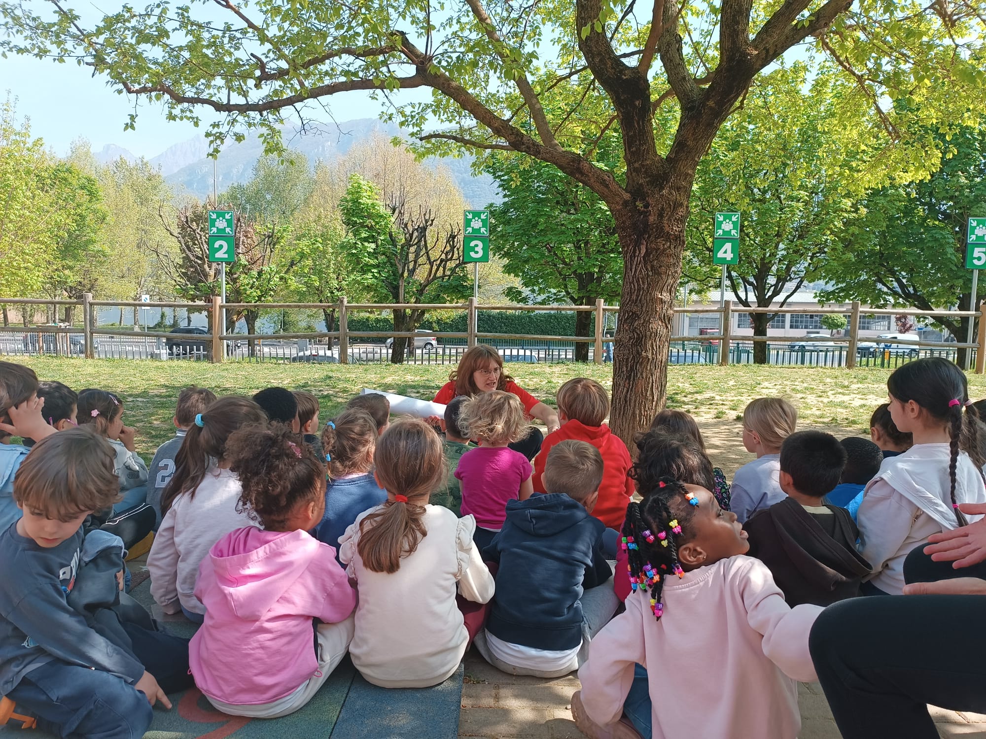 piantescuole7.jpg (699 KB)