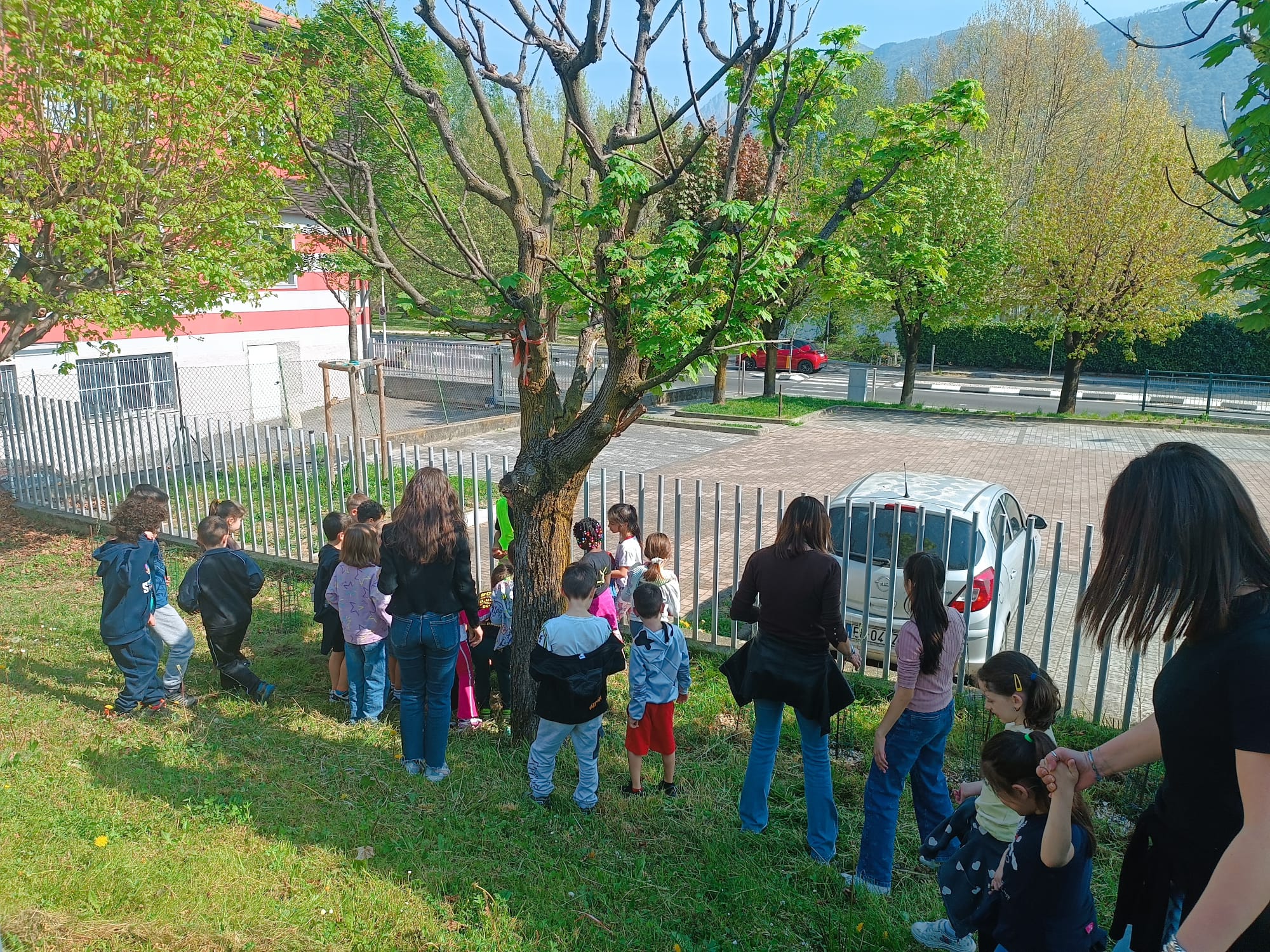 piantescuole8.jpg (872 KB)