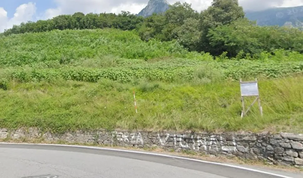 1000255476.webp (81 KB)