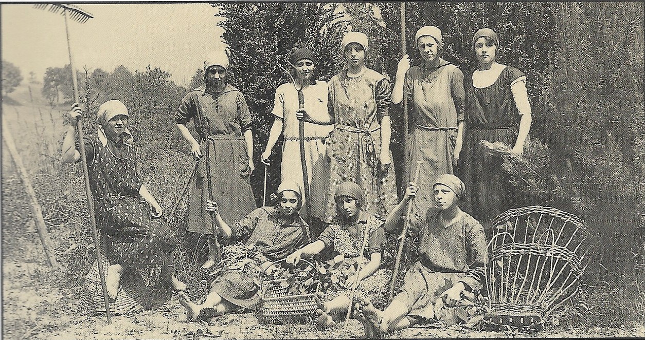 Donne_al_lavoro_nei_campi.jpg (517 KB)