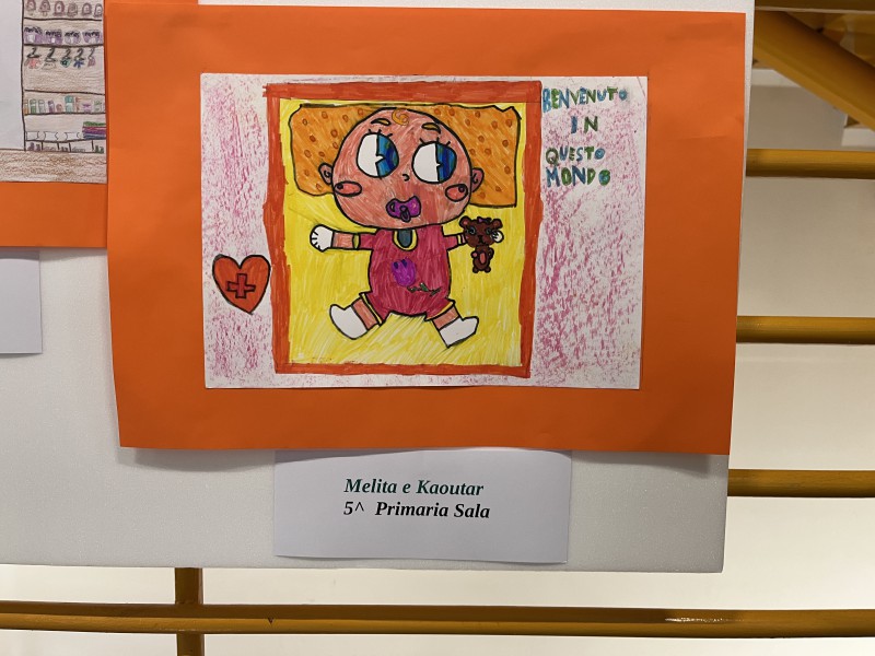 Selezione_4.JPG (100 KB)