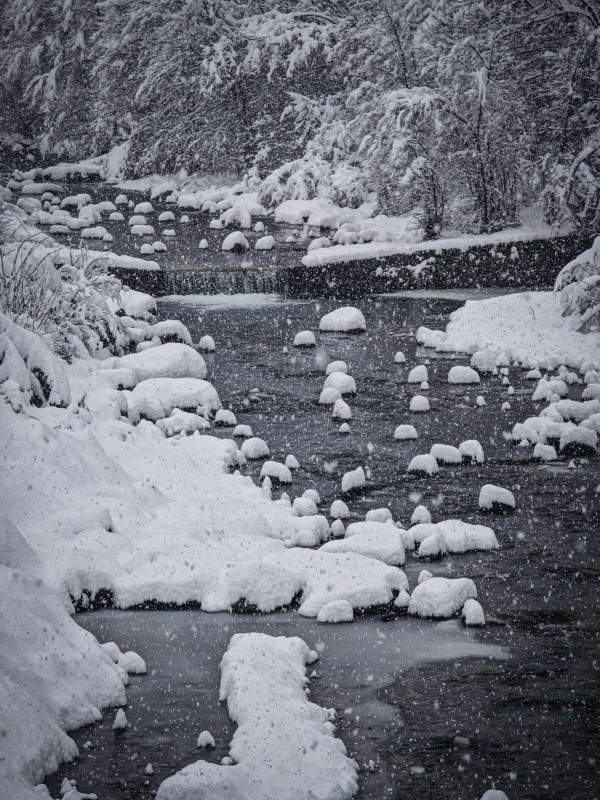 cartolineneve19febbraio1.jpg (178 KB)