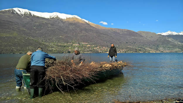 fipsas2025__3_.jpg (43 KB)