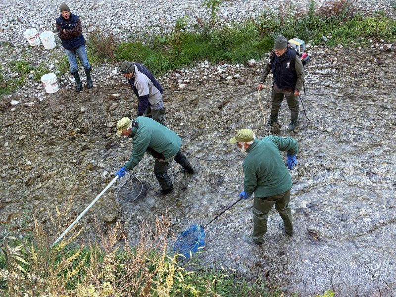 fipsas2025__6_.jpg (252 KB)