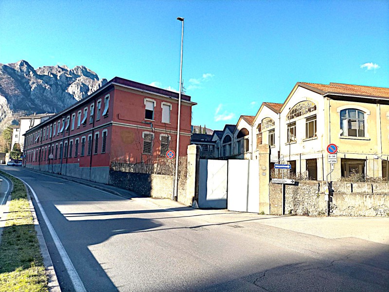 leucioggi__1_.jpg (164 KB)