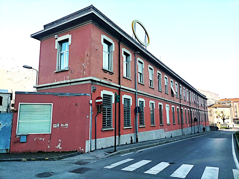 leucioggi__3_.jpg (132 KB)