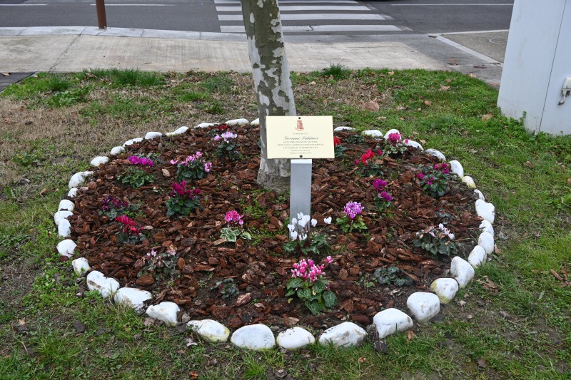 palatucci1.JPG (181 KB)