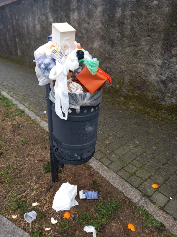 pattumegalbiate.jpg (157 KB)