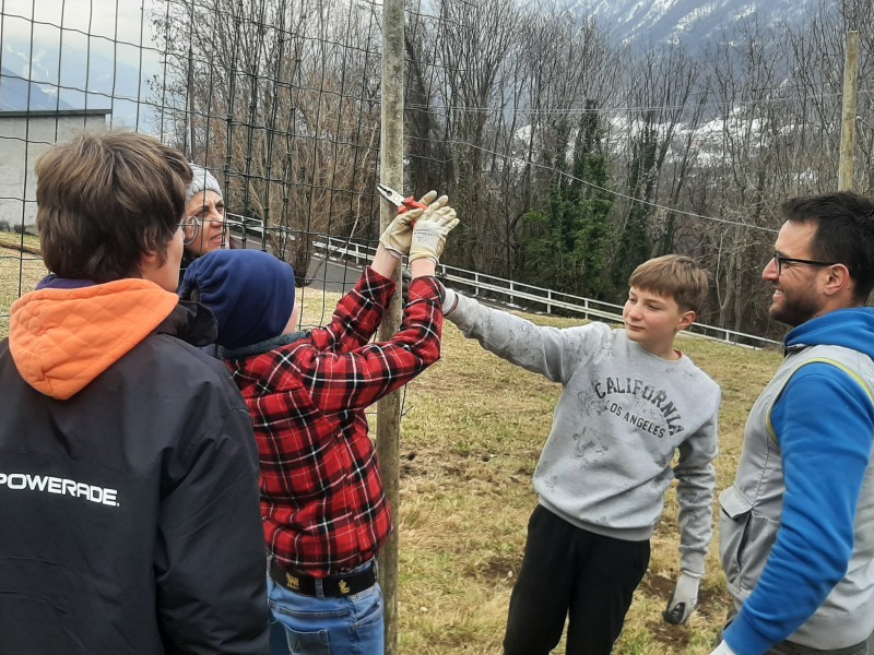 radicipolo5.jpg (167 KB)