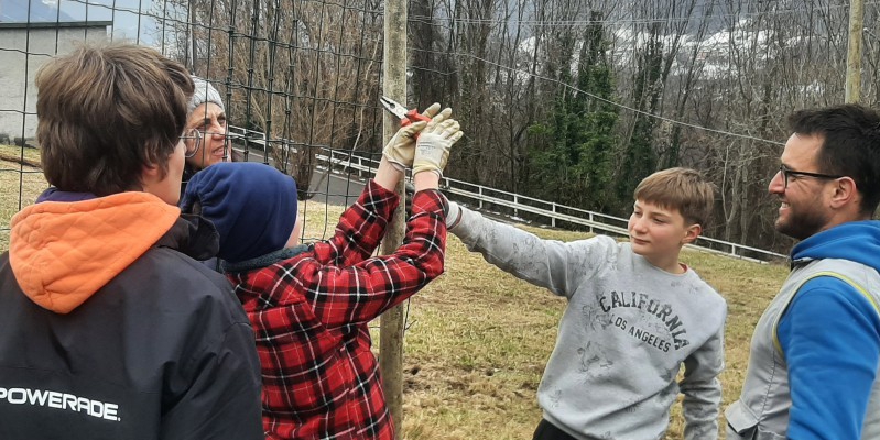 radicipolo5pr.jpg (249 KB)