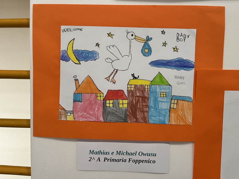 selezionato_1.JPG (88 KB)