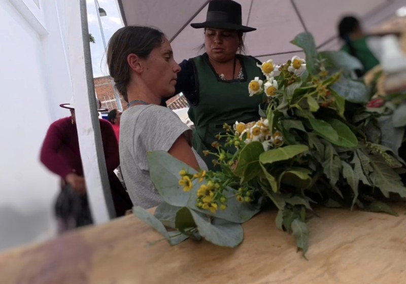 CURATRICE1.jpg (69 KB)