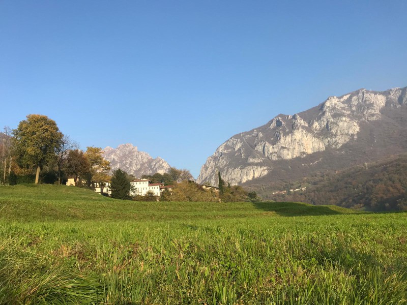 IMMAGINE_03_-_ALTRA_ZONA_CHE_VERRA__RESA_EDIFICABILE.jpeg (132 KB)