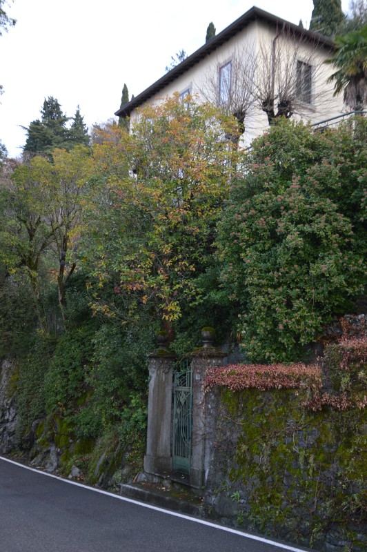 La_villa_di_Varenna__3_.JPG (148 KB)