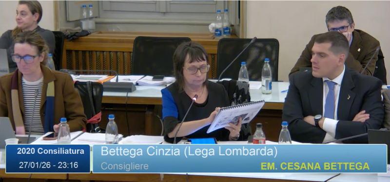 bettegapanigada.png (436 KB)