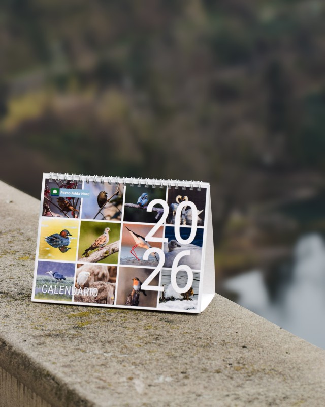 calendario_tavolo_pan_1_.jpg (92 KB)