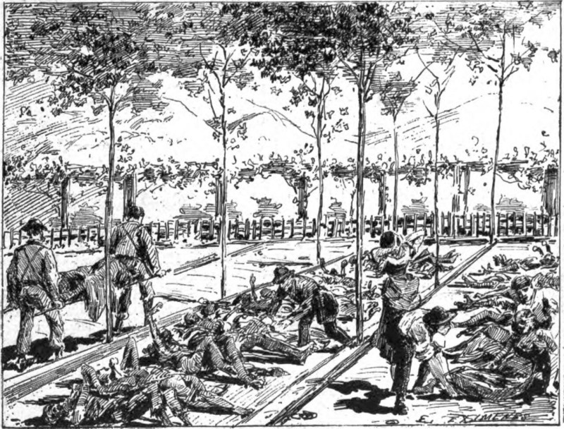 derviocrans__8_.jpg (194 KB)