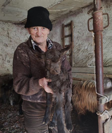 fermomaffei1.jpg (178 KB)