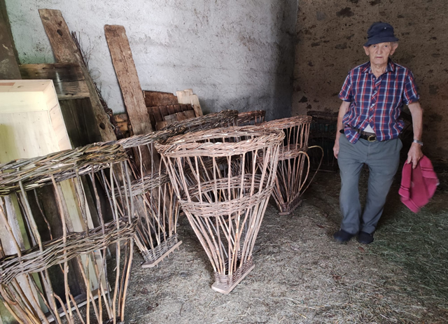 maffei_2.jpg (265 KB)