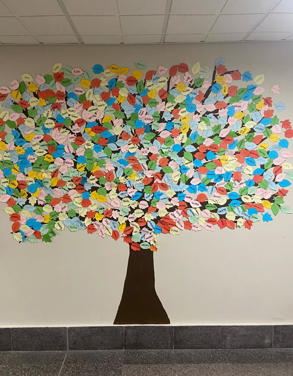 nuovinati.jpg (353 KB)