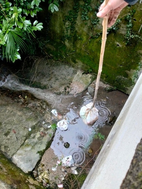 pattumebuliga2.jpg (153 KB)