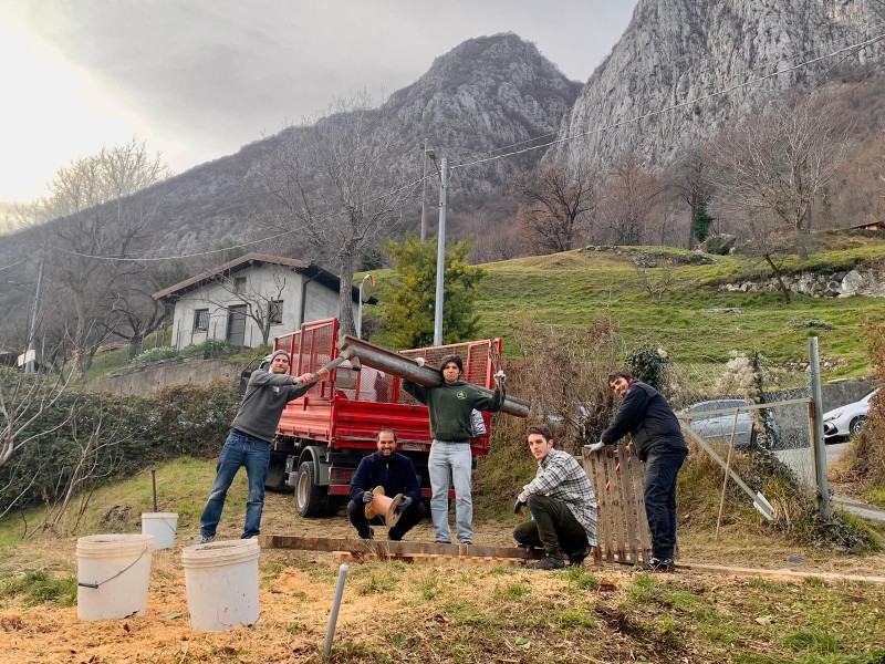 radicarancio.jpg (191 KB)