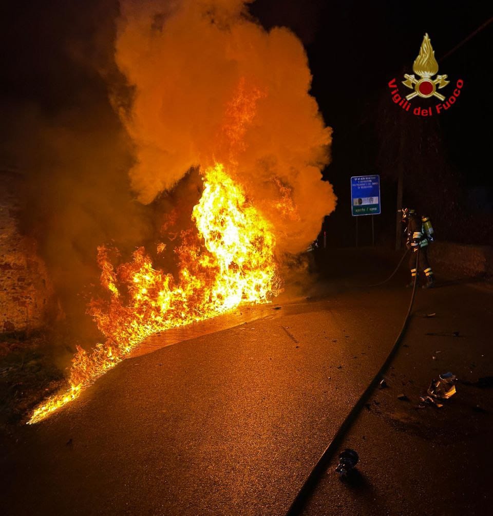 tacenorogo__1_.jpeg (308 KB)