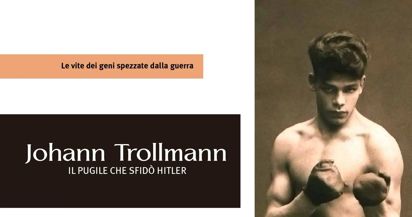 trollmann.webp (67 KB)