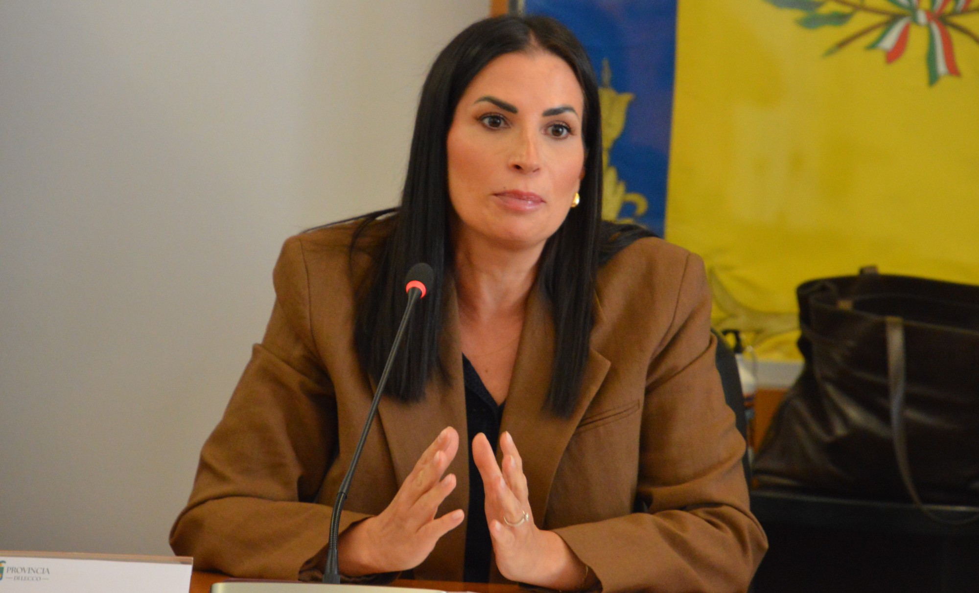 2_Silvia_Bosio.JPG (297 KB)
