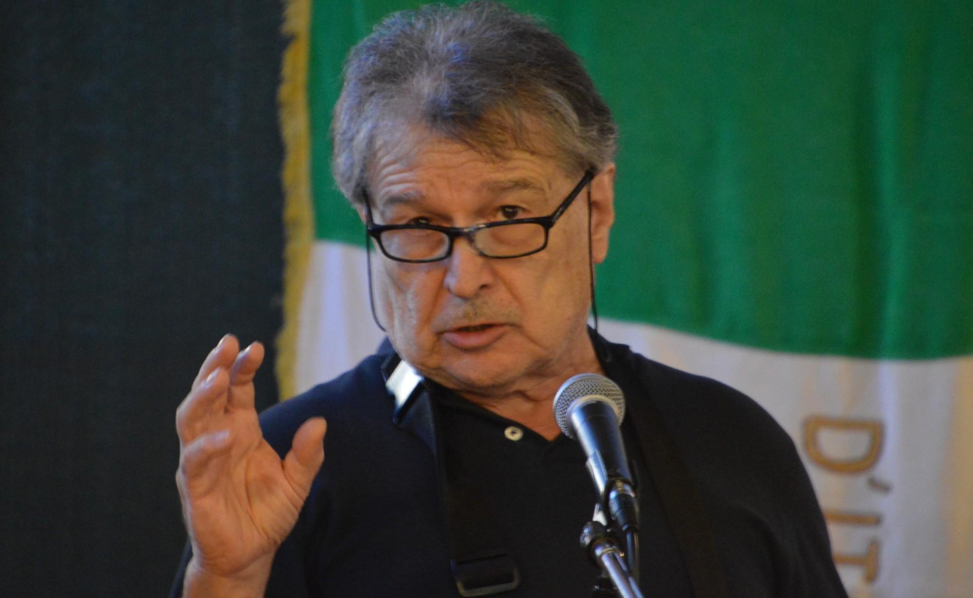 4_Emilio_Villa.JPG (312 KB)