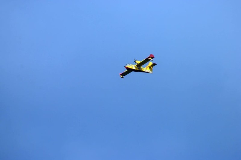 canadair3.jpg (17 KB)