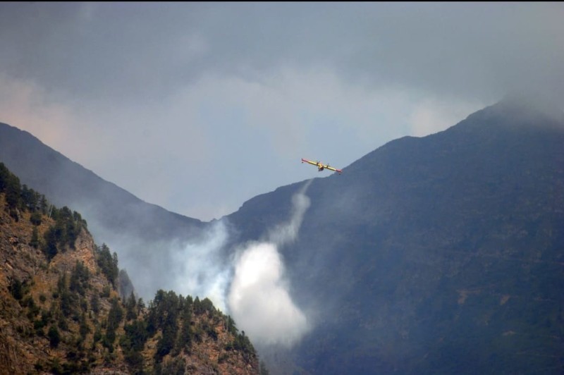 canadair4.jpg (53 KB)