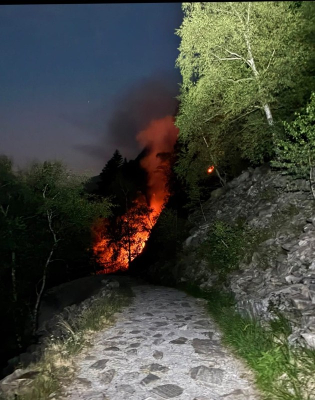 incendiopremana29luglio2.jpg (114 KB)