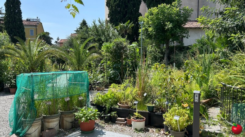 valmadreraortobotanicolis.jpg (172 KB)