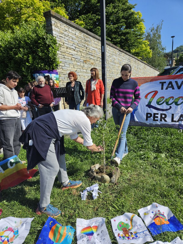 Lecco_Melograno_7.jpg (221 KB)