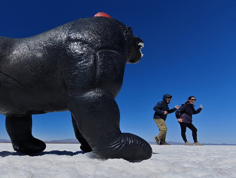 salar__2_.jpg (290 KB)