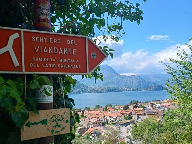 viandante_tappa1__6_.jpg (142 KB)