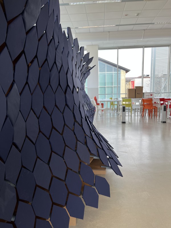 2026_02_27MItica_polistem_Ruttico__6_.jpg (91 KB)