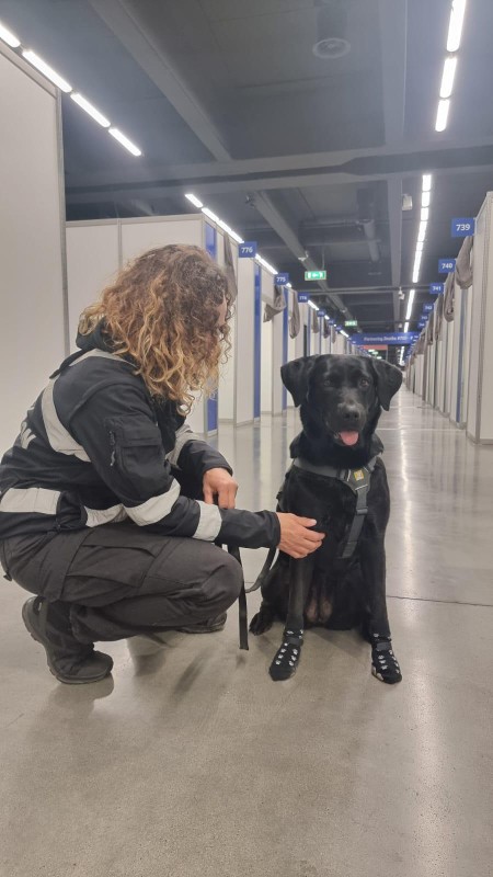 260331_sicurezza_urbana_unita_cinofila.jpeg (72 KB)