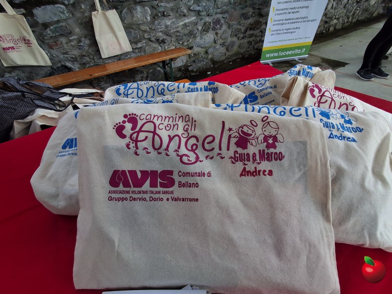 Cammina_con_gli_angeli3.jpg (135 KB)