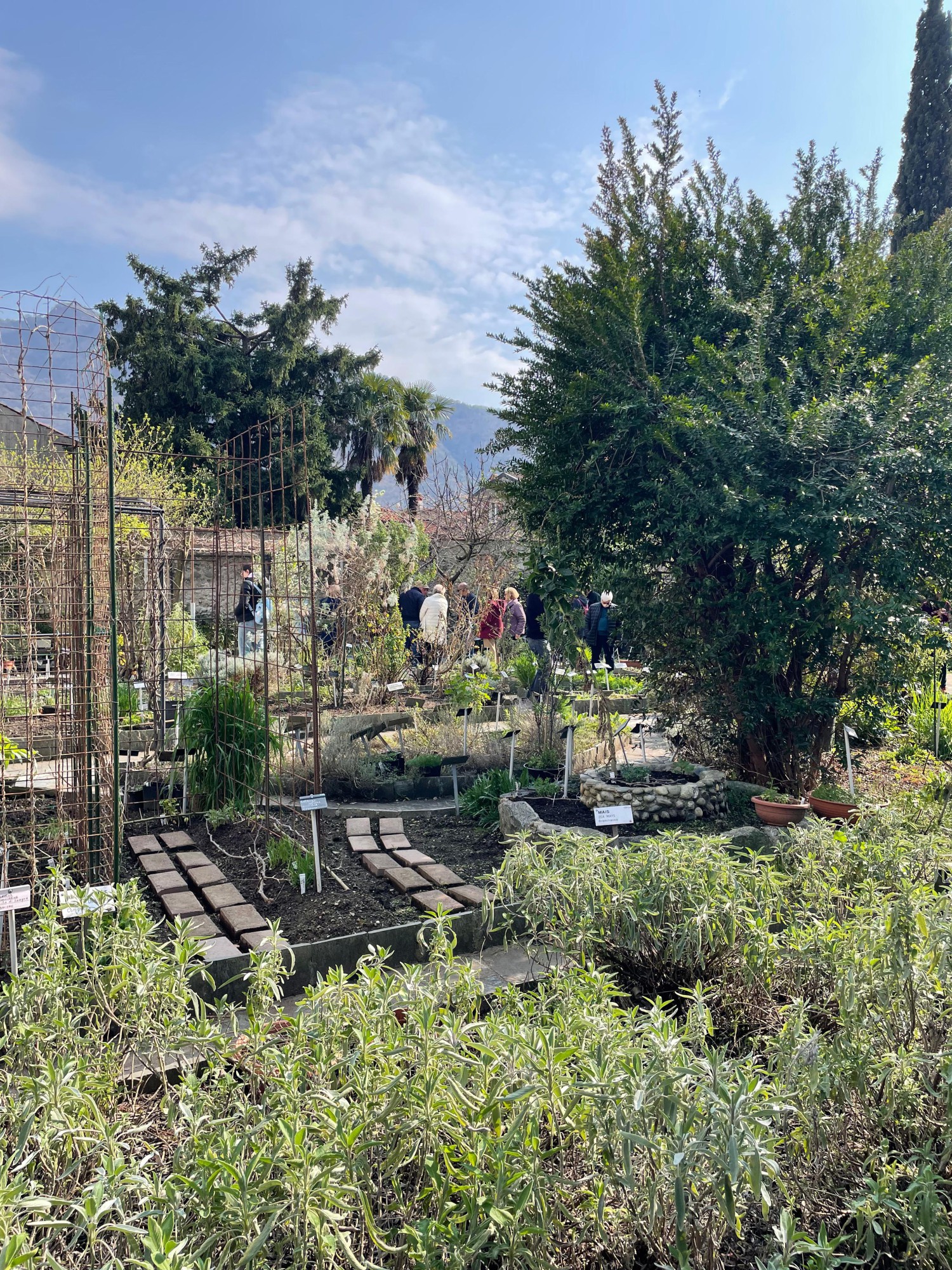 GFP_Valmadrera_Orto_botanico.JPG (1.25 MB)