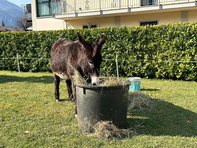 Generazioni_in_cammino_16.jpg (242 KB)