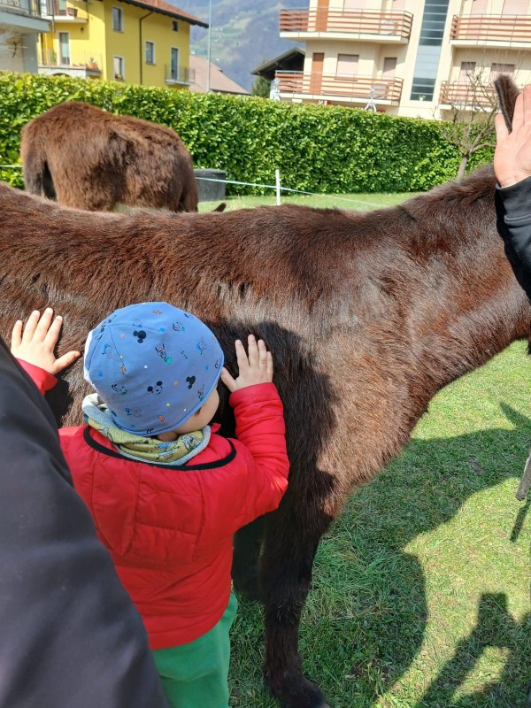 Generazioni_in_cammino_3.jpg (172 KB)