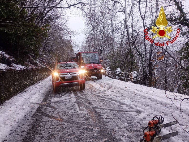 VVF_in_supporto3.JPG (214 KB)